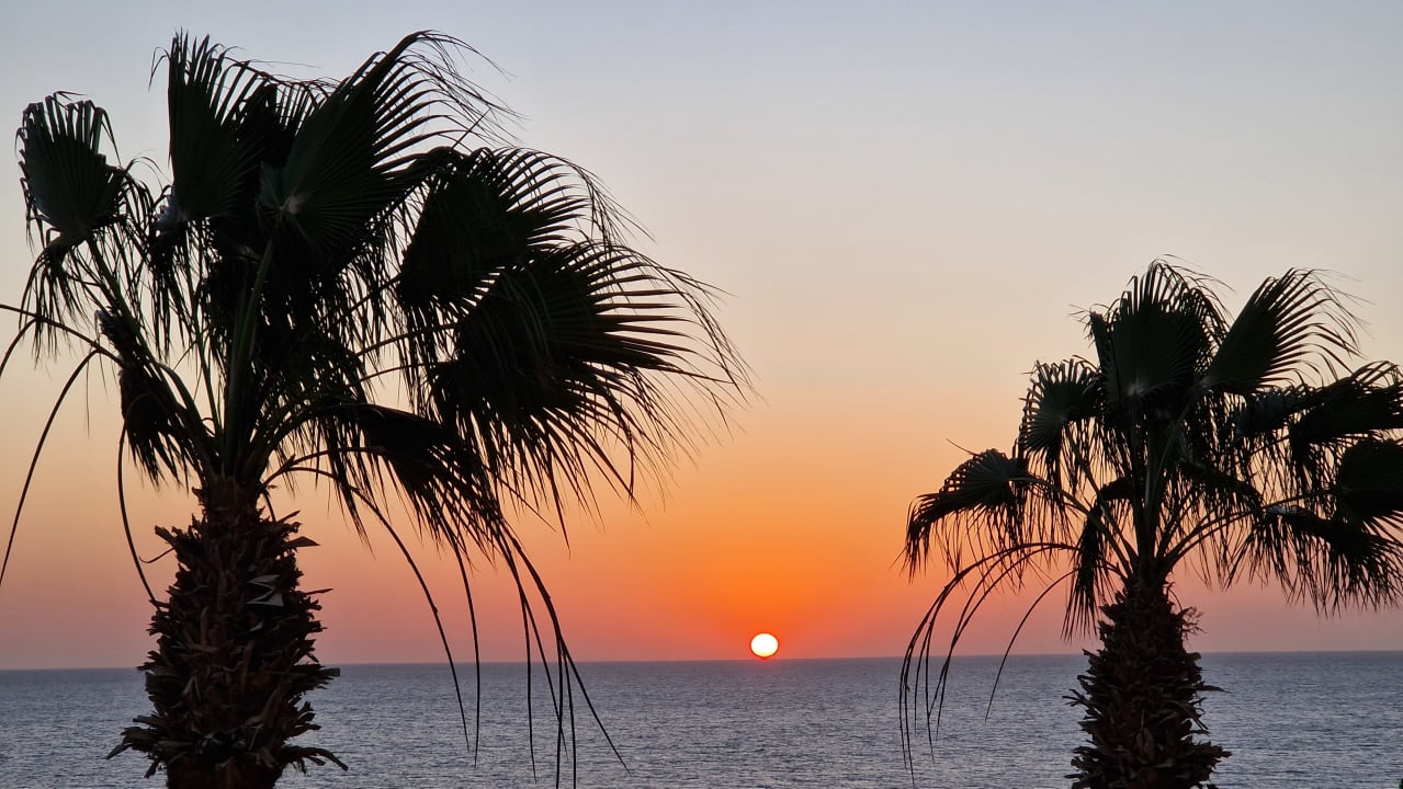 Ausblick Pickalbatros Citadel Resort