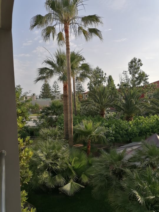 Ausblick Hotel Minos Mare Beach