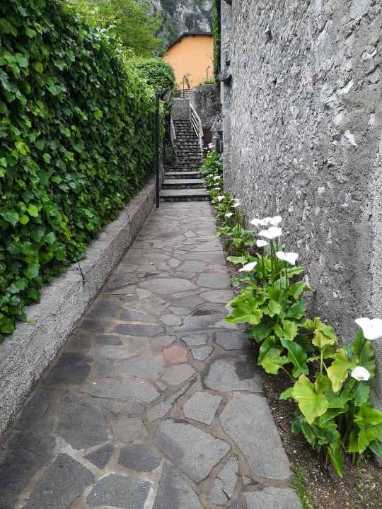 Gartenanlage Hotel Caravel