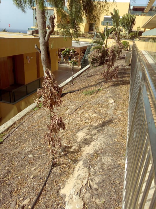 Ungepflegt SBH Club Paraiso Playa