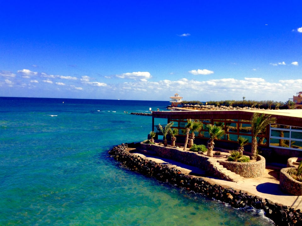 Ausblick Desert Rose