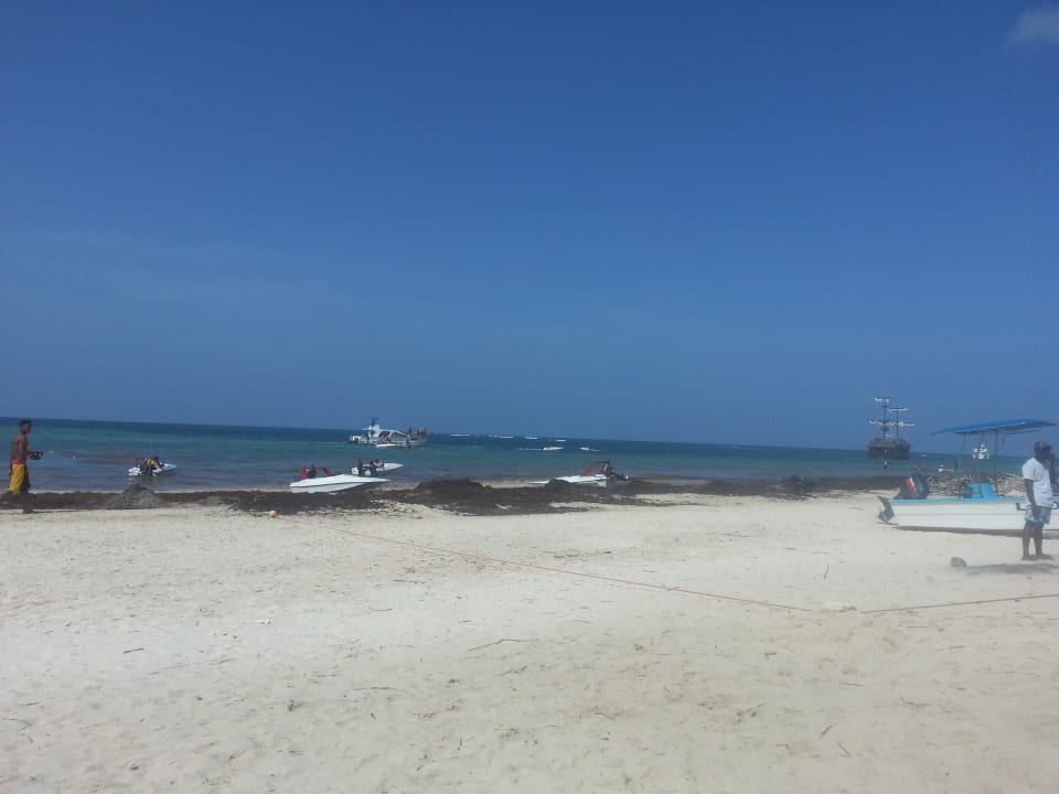 Strand whala!bávaro