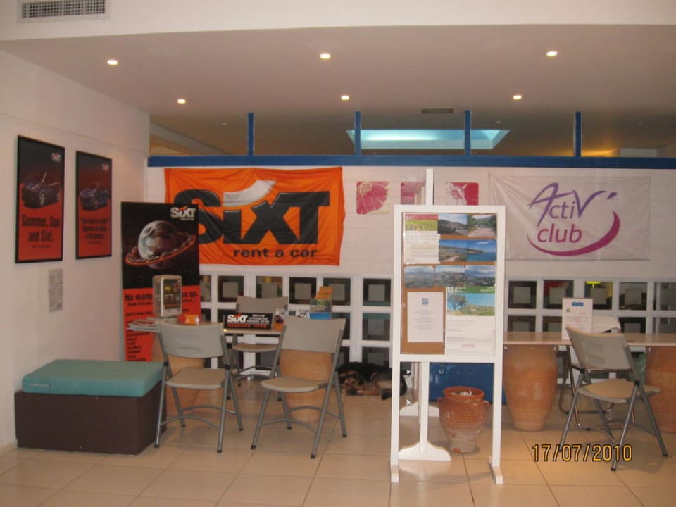 Der Hund hat leider keine zuhause Brown Beach Eretria