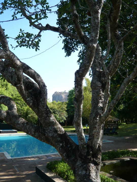 Der Sigiriya Rock - der Löwenfelsen Sigiriya Village