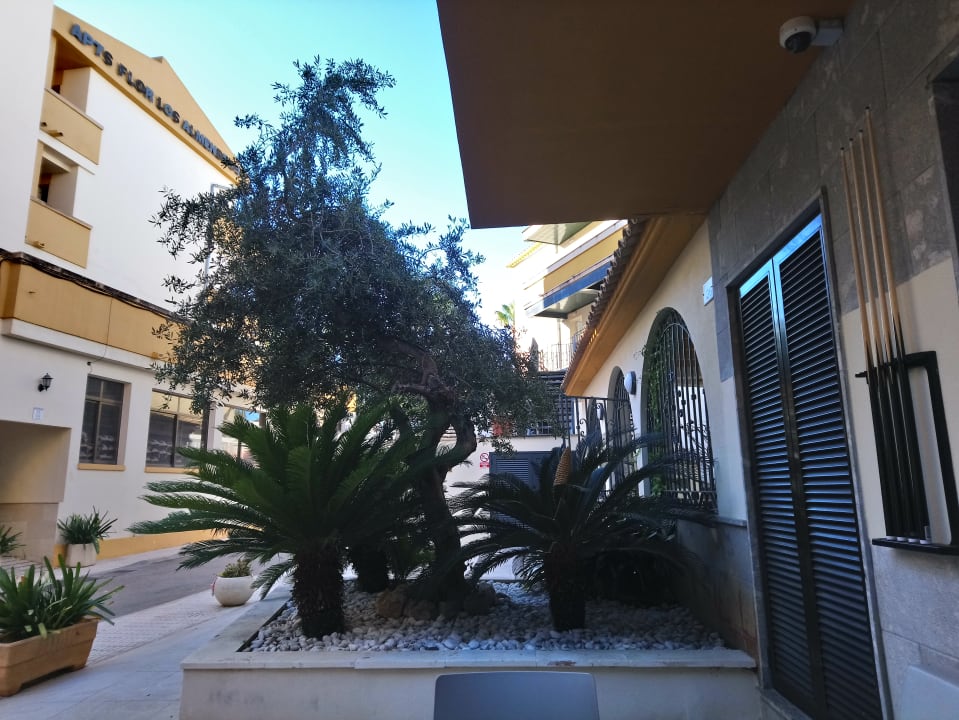 Sonstiges FLOR los Almendros Hotel