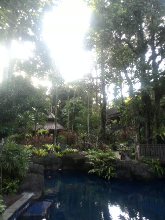 Pool Khao Lak Merlin Resort