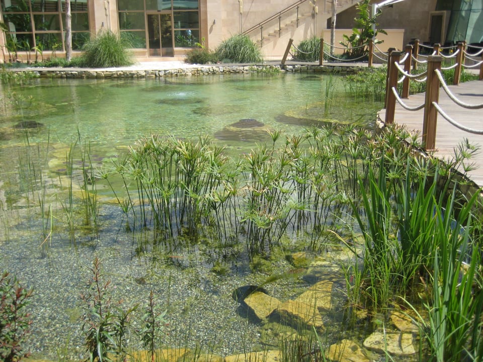 Gartenteich Paloma Pasha