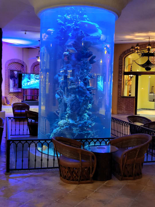 Sonstiges Iberostar Selection Paraiso Lindo