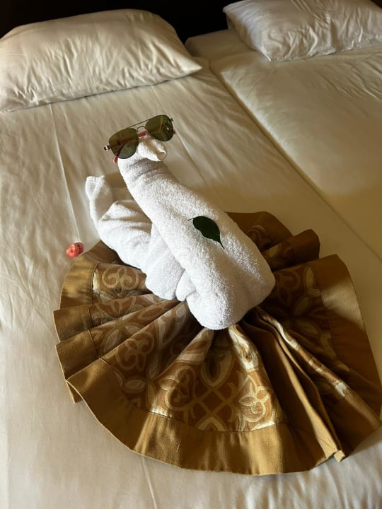 Zimmer Jaz Dar EL Madina