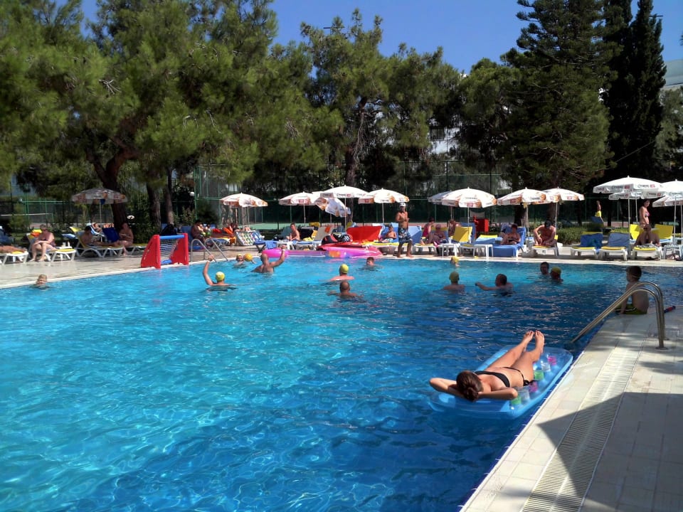 Zu flacher Hotelpool, aber recht groß! Asteria Collection Side