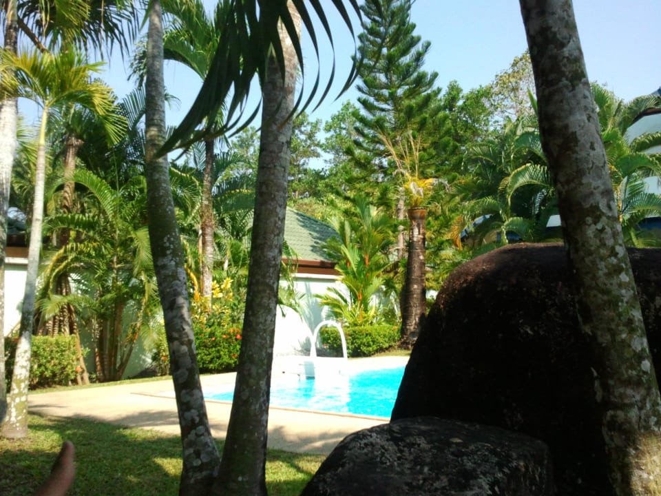 Am Pool Phuket Lotus Lodge