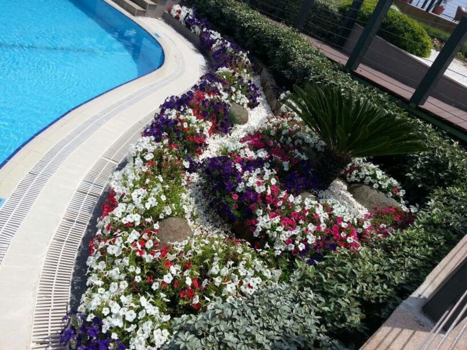 Blumen Limak Lara Deluxe Hotel & Resort