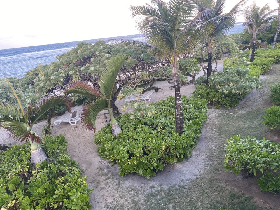 Gartenanlage Radisson Blu Poste Lafayette Resort & Spa - Adults only