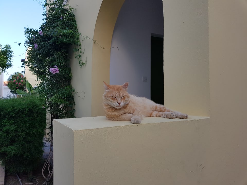 Sonstiges Kefalos Beach Holiday Village