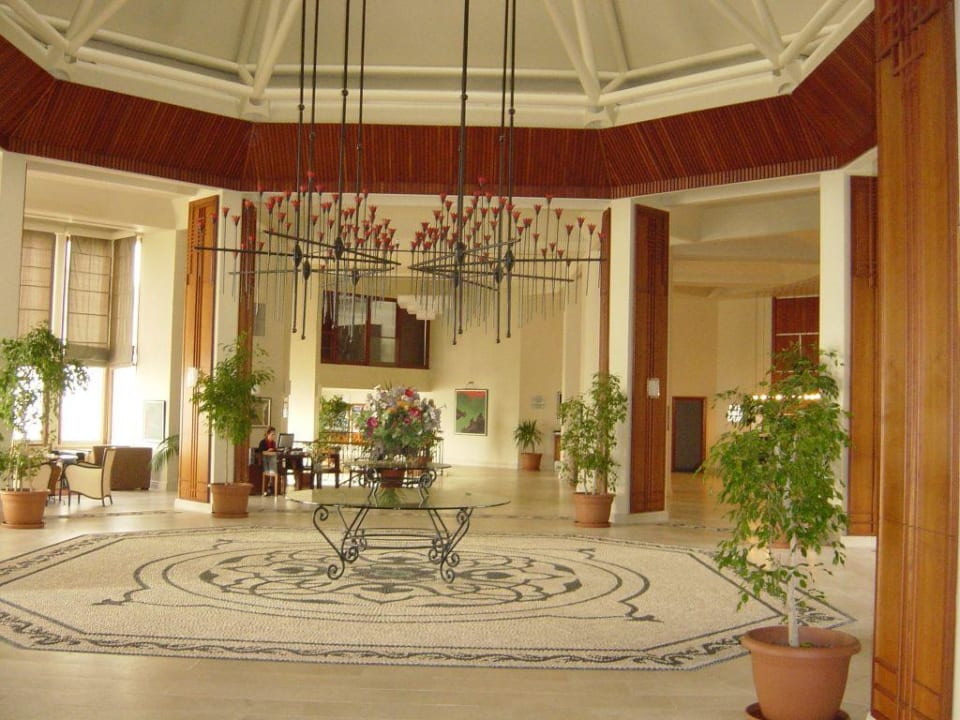 Perissia Halle PALOMA Perissia