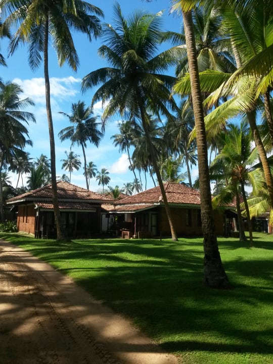 Gartenanlage  Hotel Club Bentota