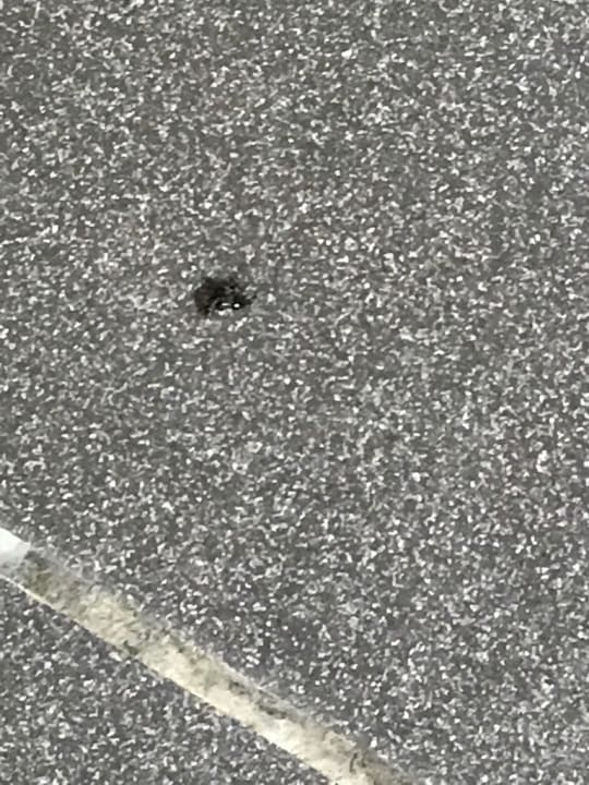 Zimmer Center Parcs Park De Haan