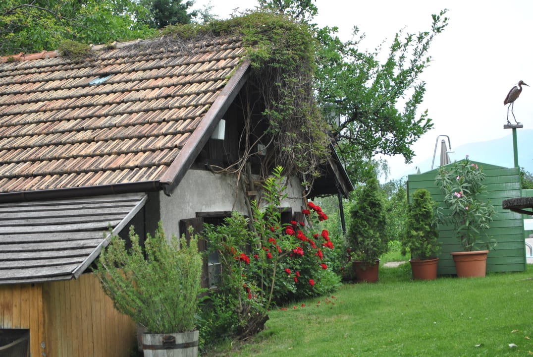 Schöner Blick auf Rosen, Oleander und co. Hotel Bauhof