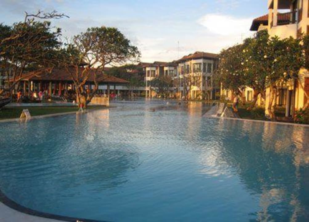 Pool Club Hotel Dolphin