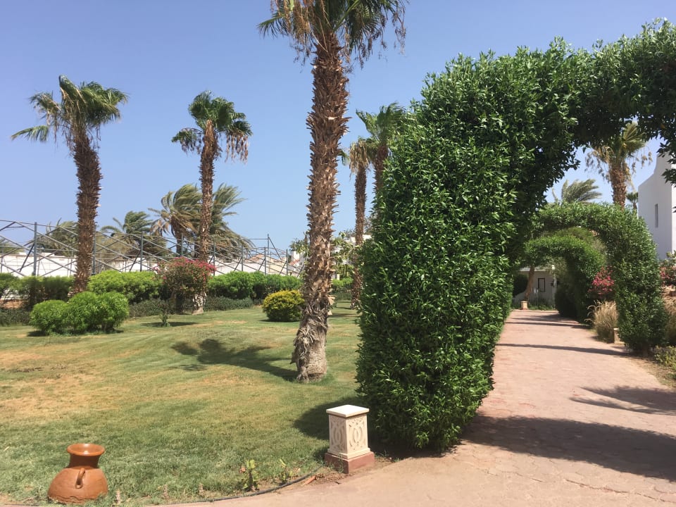 Gartenanlage Lotus Bay Beach Resort