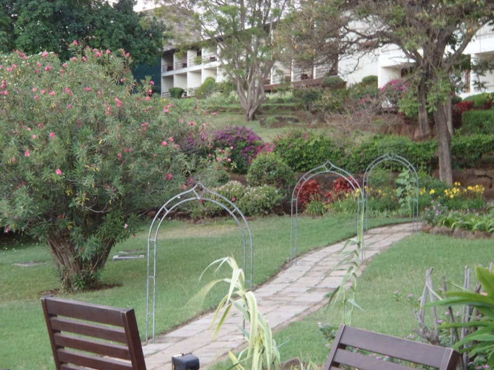 Blick auf den Zimmertrakt Manyara Wildlife Safari Camp