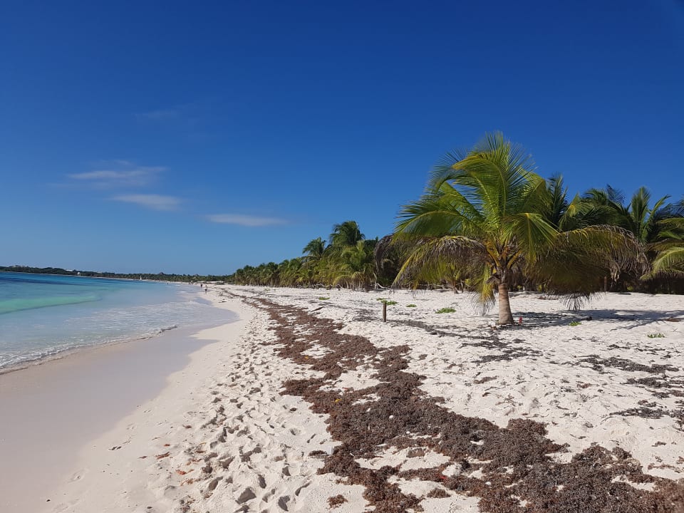 Strand TUI BLUE El Dorado Seaside Suites