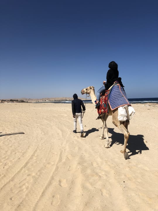 Strand Radisson Blu Resort, El Quseir