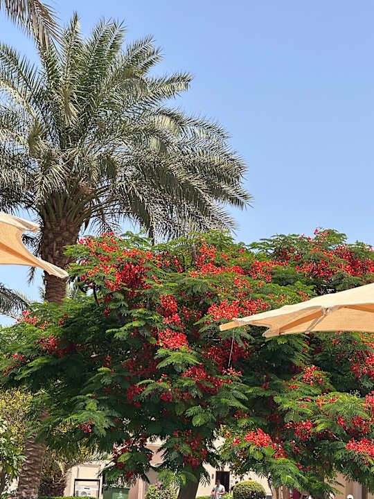 Außenansicht Serenity Alpha Beach