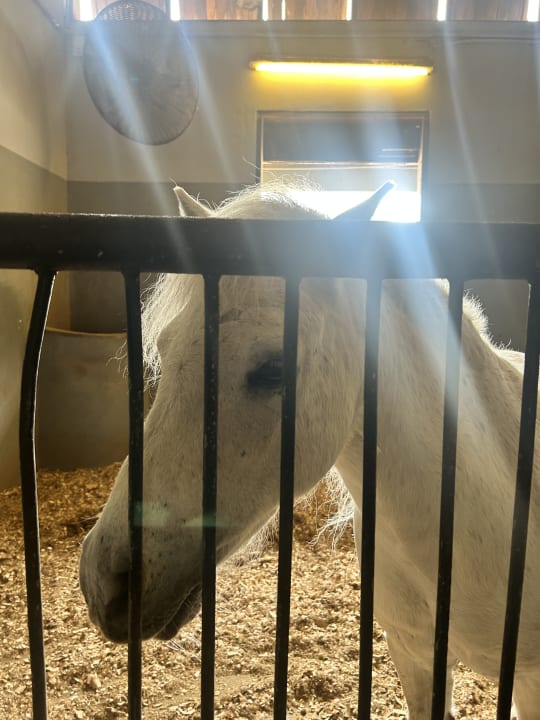 Sonstiges Maritim Resort & Spa Mauritius