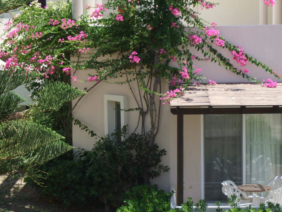 Viele Blumen Kipriotis Village Resort