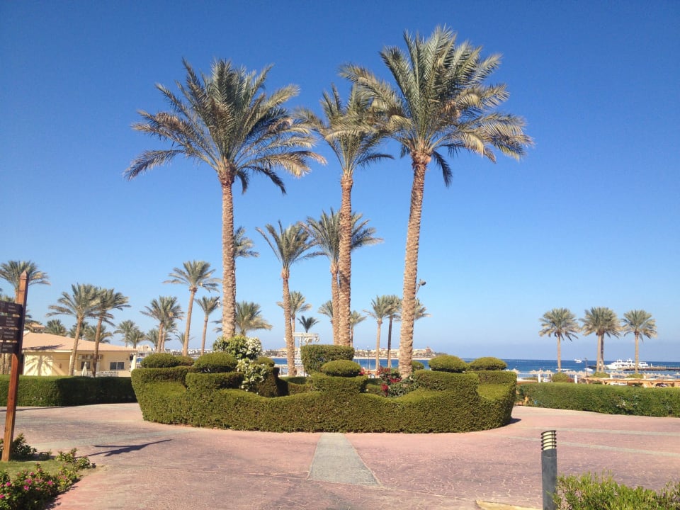 Sehr sauber und schön angelegt Cleopatra Luxury Resort Makadi Bay