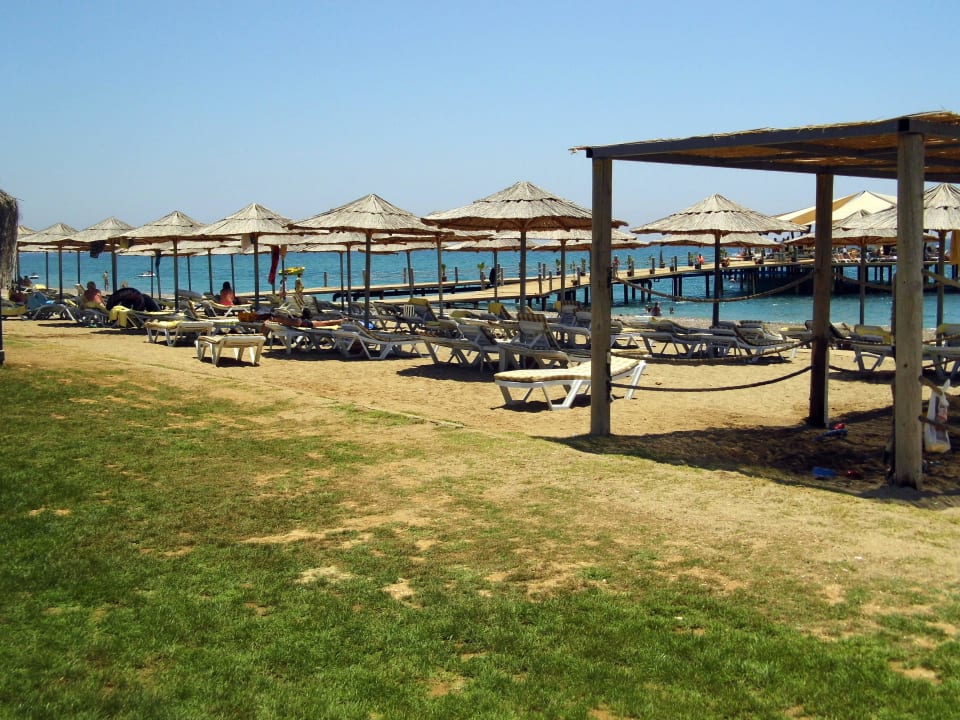 Super Selectum Family Comfort Side