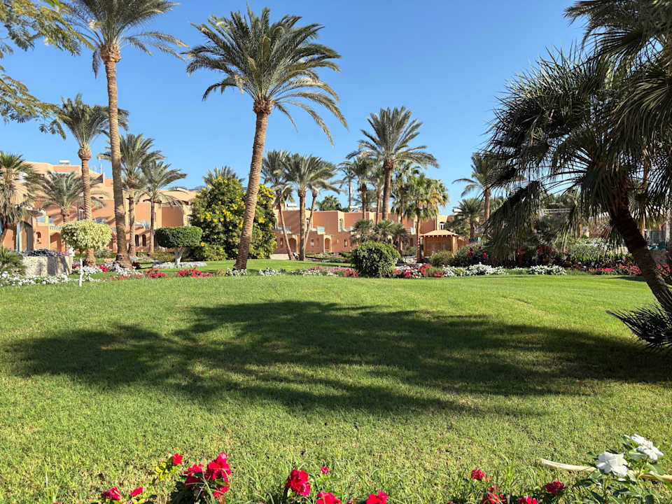 Gartenanlage Club Paradisio El Gouna, Red Sea