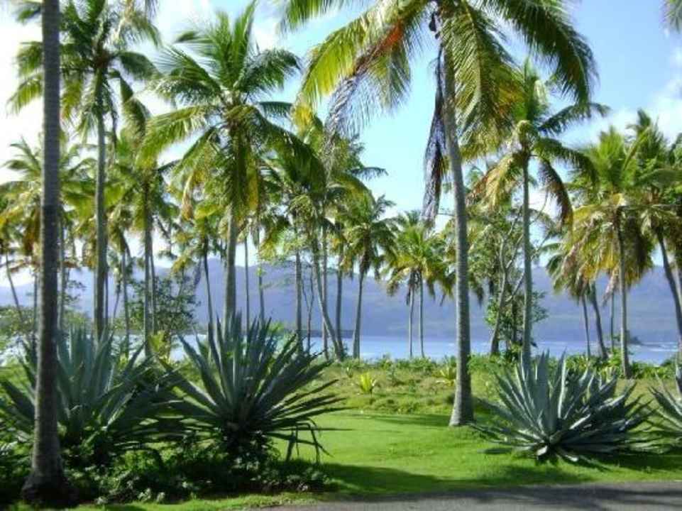 Cool wenn man mit diesem Ausblick ein Zimmer hat Wyndham Alltra Samana