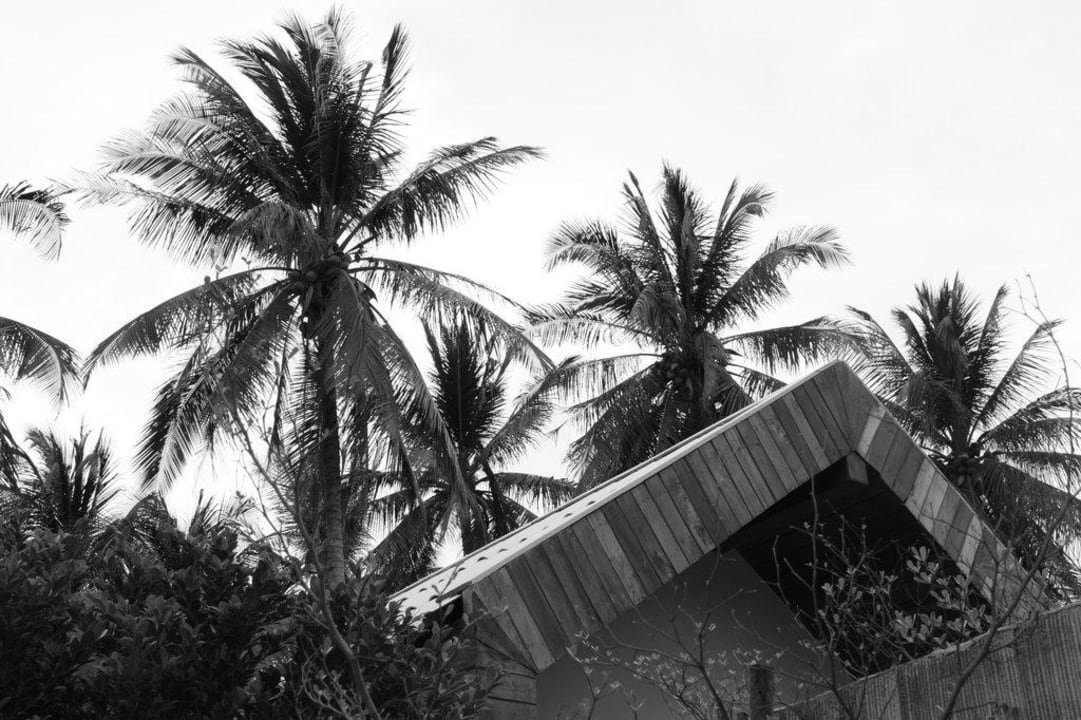 Dach einer Poolvilla vor Palmenwald Tolani Resort Koh Samui