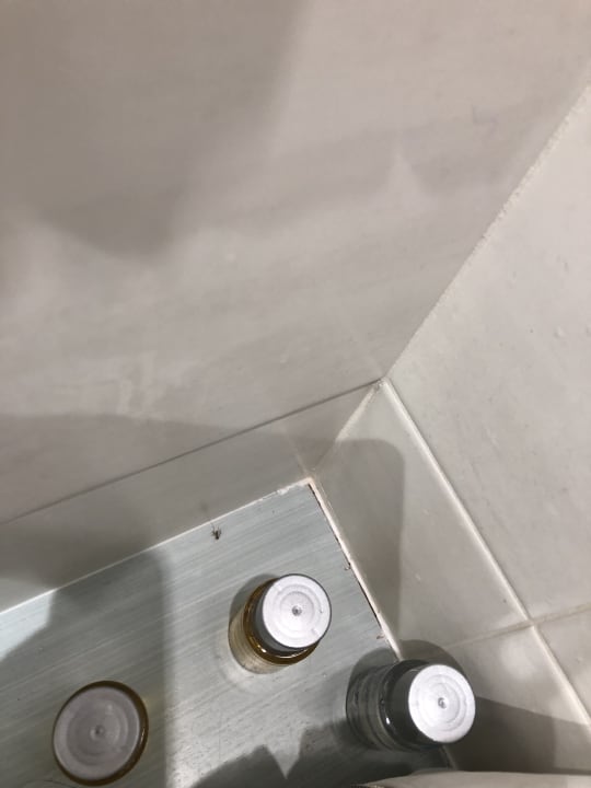 Zimmer Alcudia Garden Aparthotel