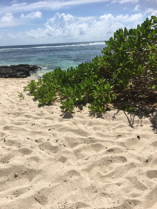 Strand Radisson Blu Poste Lafayette Resort & Spa - Adults only