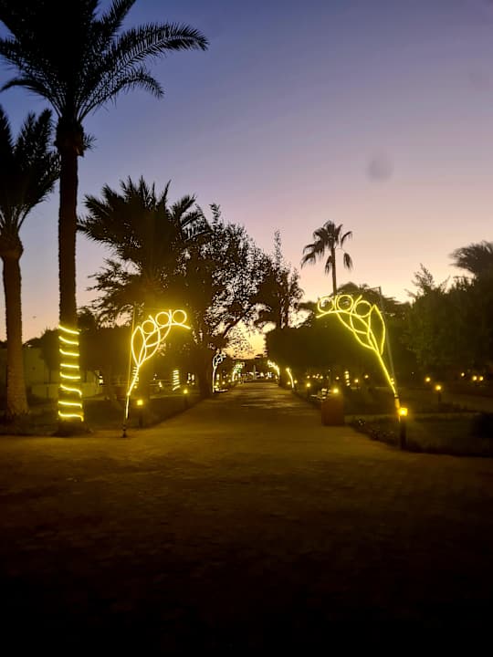 Sonstiges Pharaoh Azur Resort