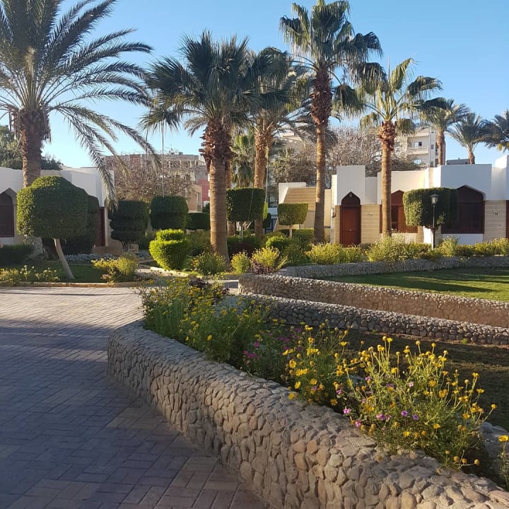 Gartenanlage Regina Resort and Aqua Park Hurghada