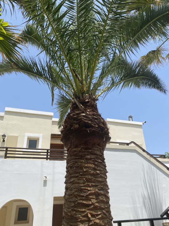 Zimmer Iberostar Selection Creta Marine