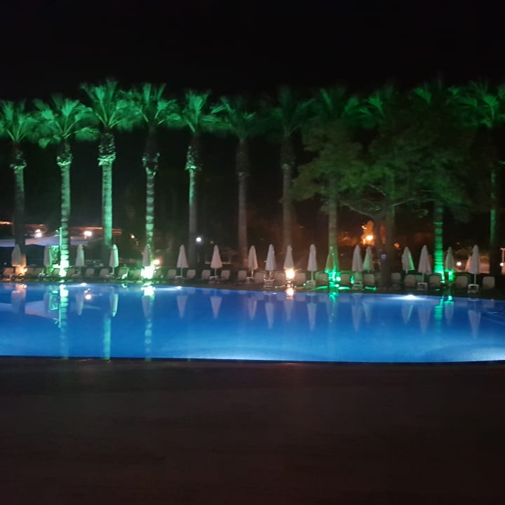 Pool Asteria Collection Side