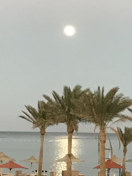 Ausblick Pickalbatros Royal Moderna Resort-Sharm El Sheikh