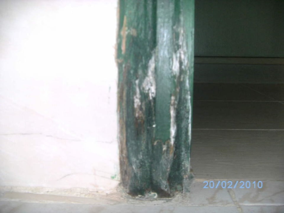 Schimmel im Bad Giftun Azur Resort