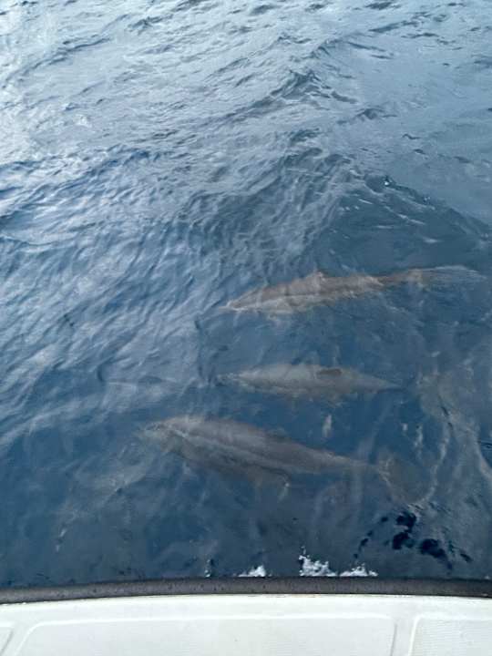 Strand Vilamendhoo Island Resort & Spa