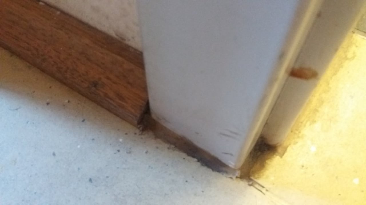 Zimmer Jugendherberge Diez