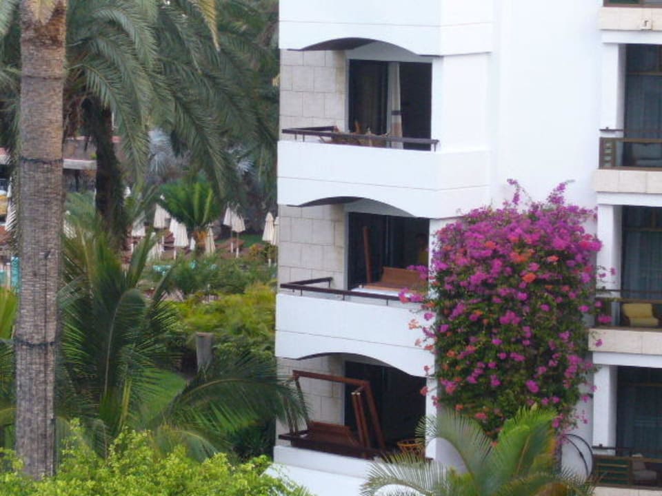 Renovierungen Seaside Hotel Palm Beach