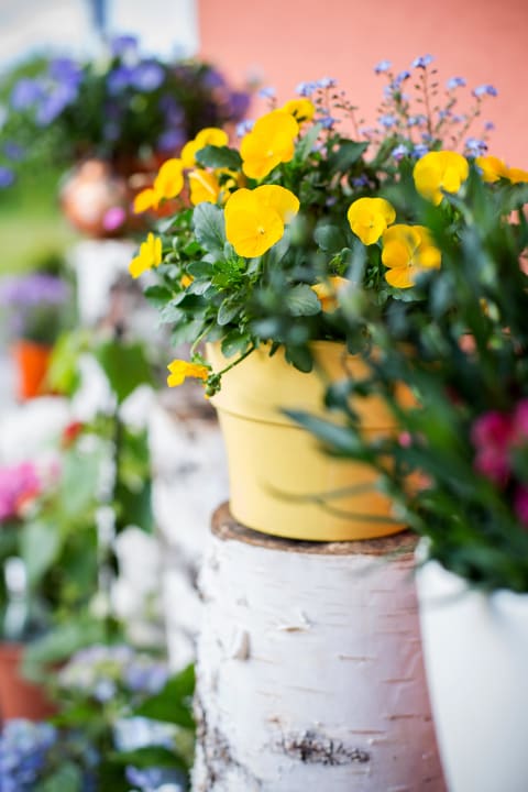 Gartenanlage Hotel Garni Sohler