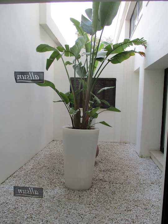 Sonstiges allsun Hotel Bahia del Este