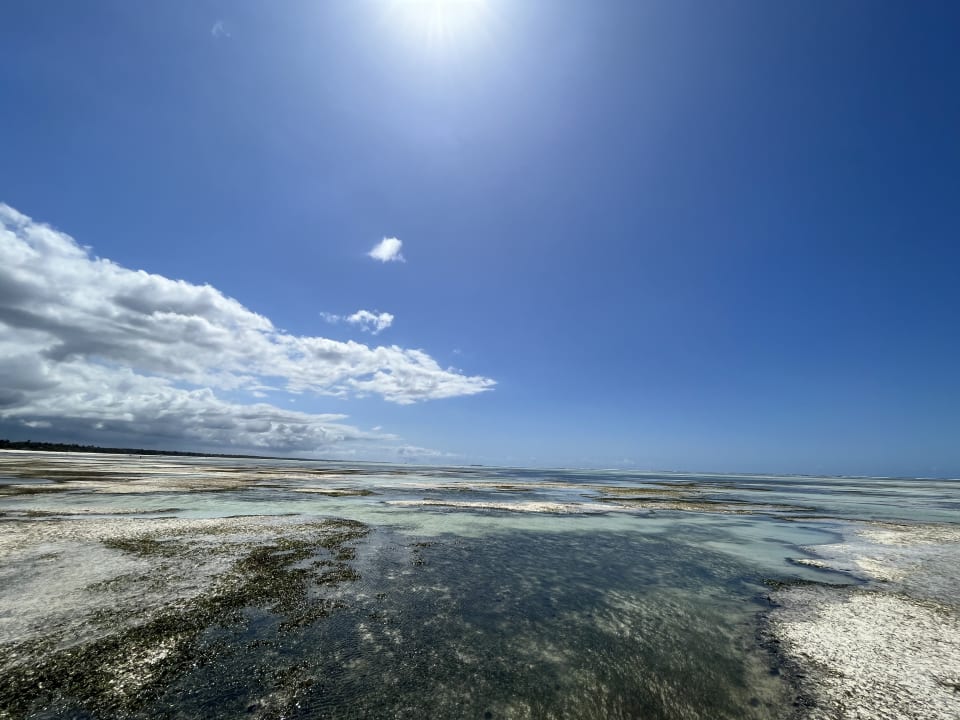 Strand TUI Blue Bahari Zanzibar