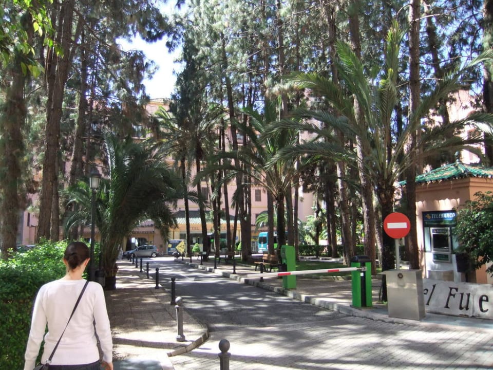 Einfahrt  Hotel El Fuerte Marbella